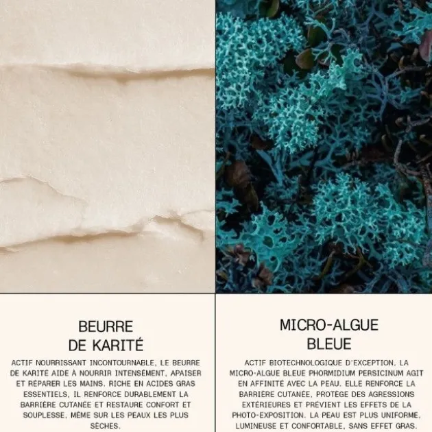 Eclo Baume mains régénérant - 30 ml