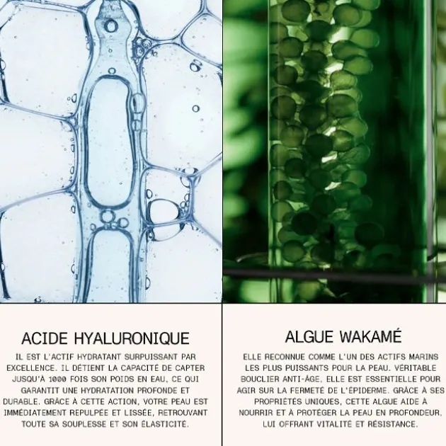 Eclo Sérum à lèvres régénérant - 10 ml