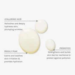 Evolve Beauty Brume Hydratante Daily Defence - 100 ml