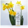 Nominoe cosmétiques Crème Fluide Hydratante - 50 ml