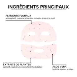 Whamisa Masque visage Hydrogel aux fleurs bio fermentées - 33 g